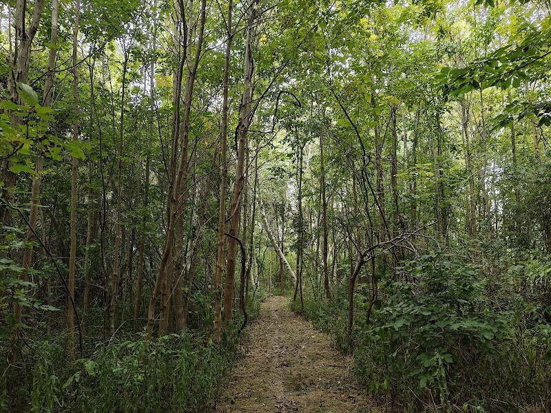 Manitou Beach Preserve