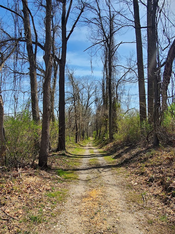 Springlawn Trail