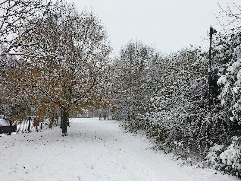 Goldcrest Road Open Space