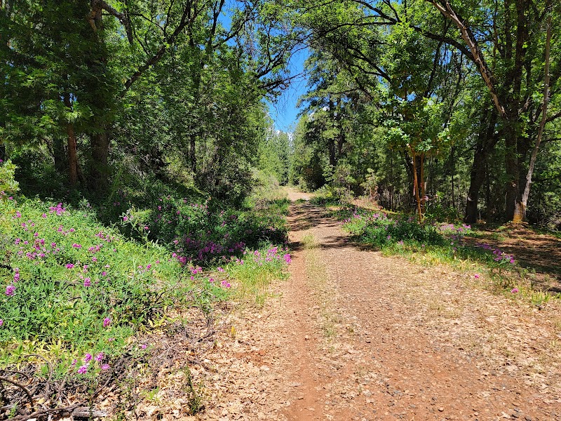 El Dorado Trail Parking at Halcon Road