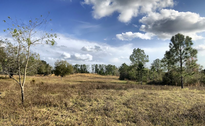 Alafia River State Park Equestrian Trailhead and Fishing Access