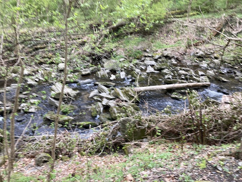 Crosswicks Wildlife Sanctuary