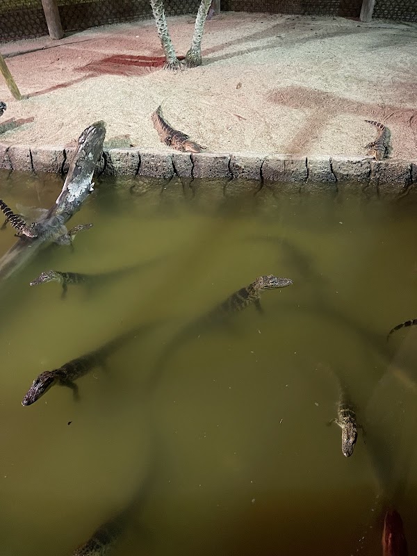 Congo River Golf