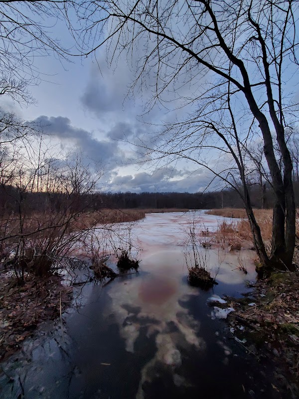 Bald Mountain Trail Head