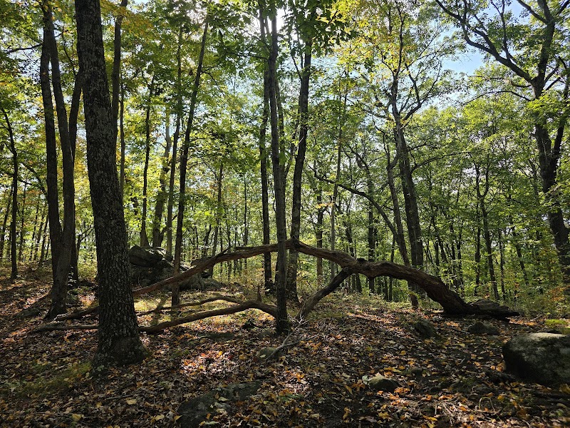 Whittemore Glen State Park Scenic Reserve