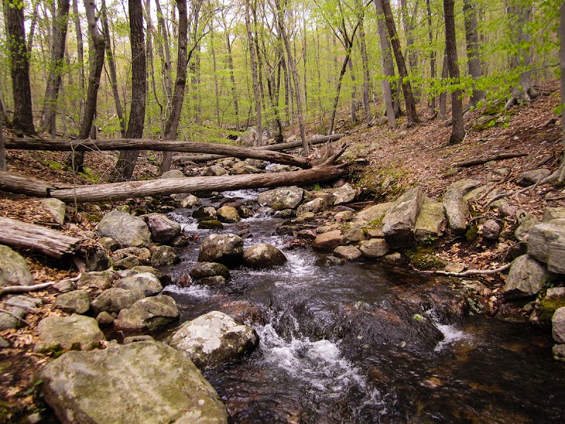 Norvin Green State Forest