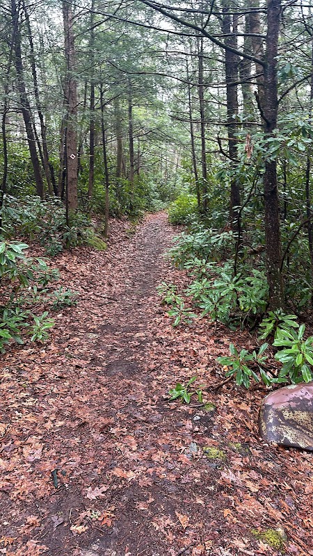 Blydenburgh-Weld House