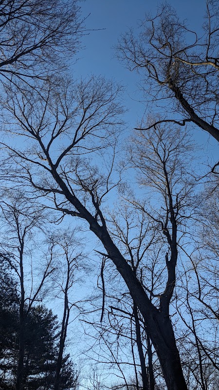 Briar Bush Nature Preserve - Alternative Entrance