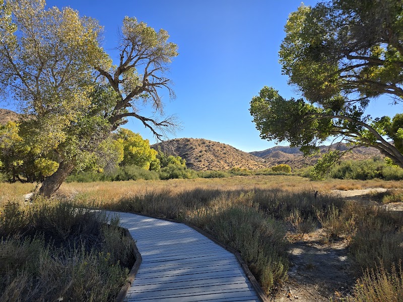 Big Morongo Canyon Preserve