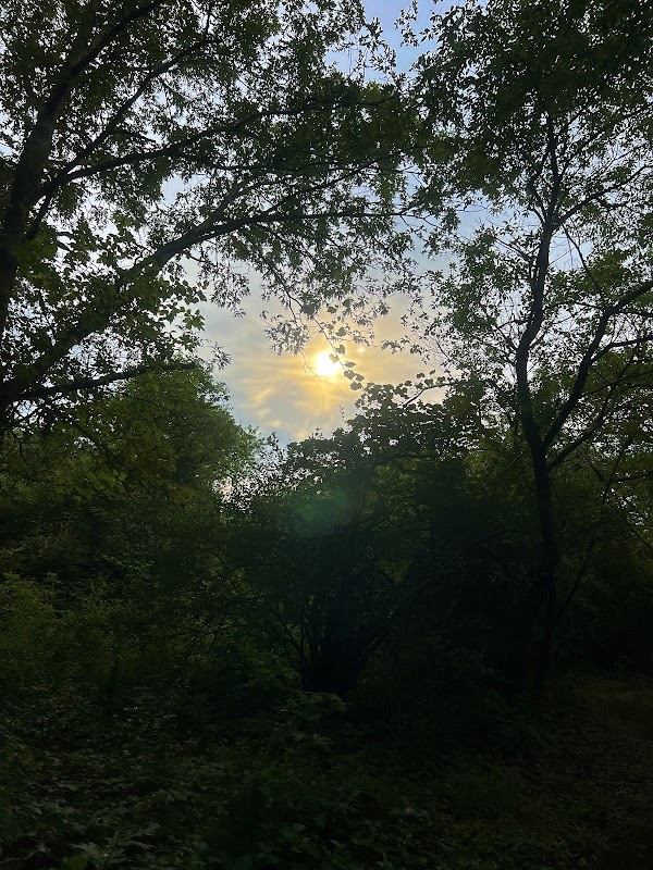 Eastport Conservation Area ( Bike Trail)
