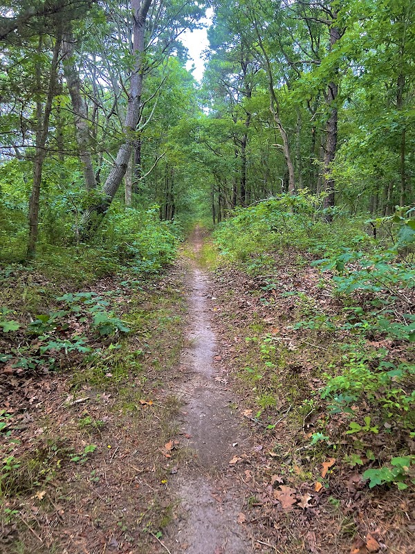 Eastport Conservation Area ( Bike Trail)