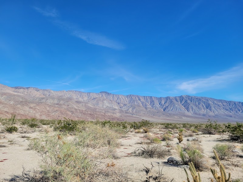 Desert Gardens - Anza-Borrego Desert State Park