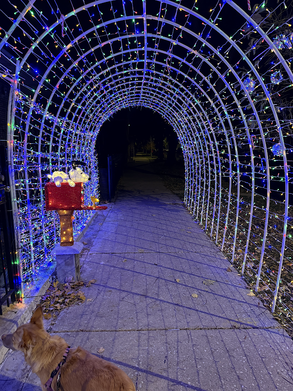 Holiday Tunnel of Lights