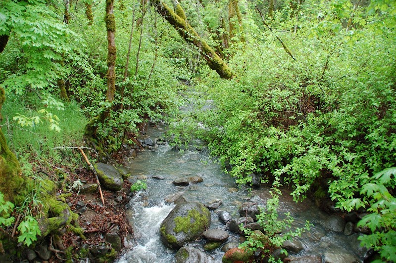 Bothe-Napa Valley State Park