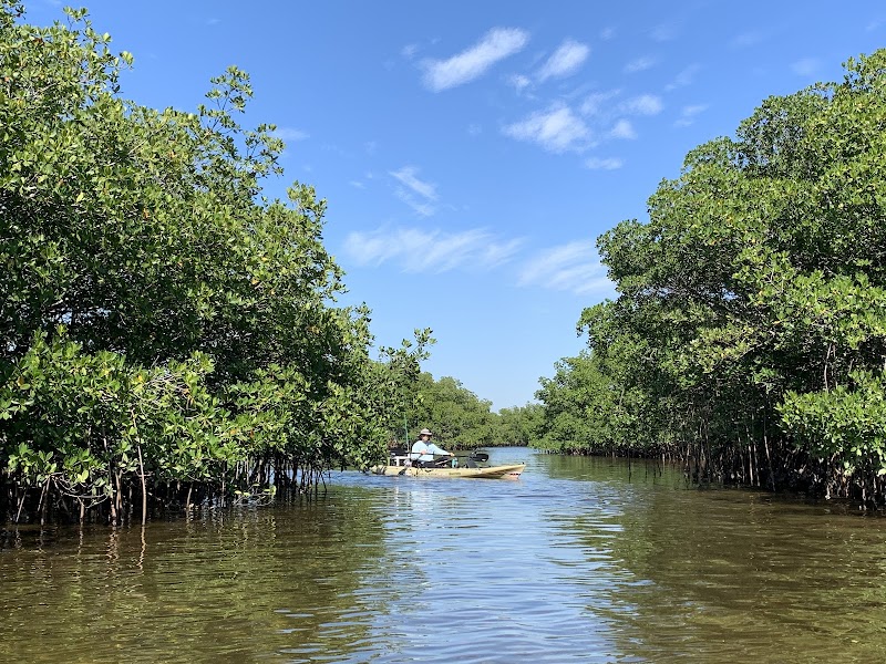 Upper Tampa Bay Trail-Montague St.