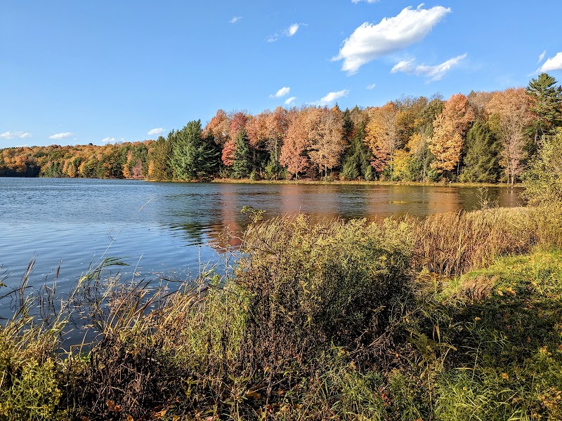 Hills Creek State Park