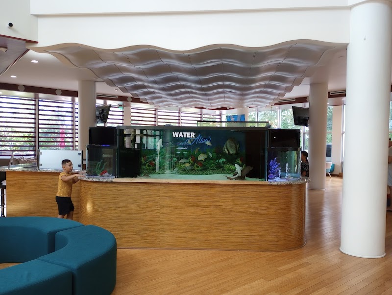 Blue Ocean Aquarium Maintenance