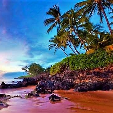 Peace of Hope Garden