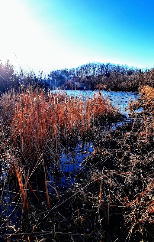 Chisholm Creek South Park