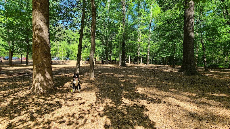 Sweat Mountain Dog Park