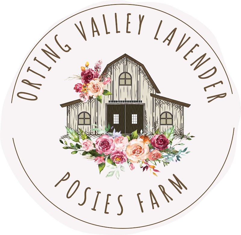 Orting Valley Lavender & posies farm