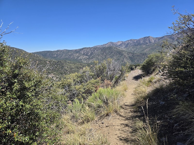 Wildhorse Creek Trail 2E02