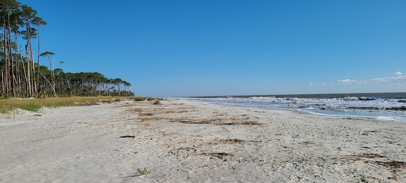 Hunting Island State Park Nature Center