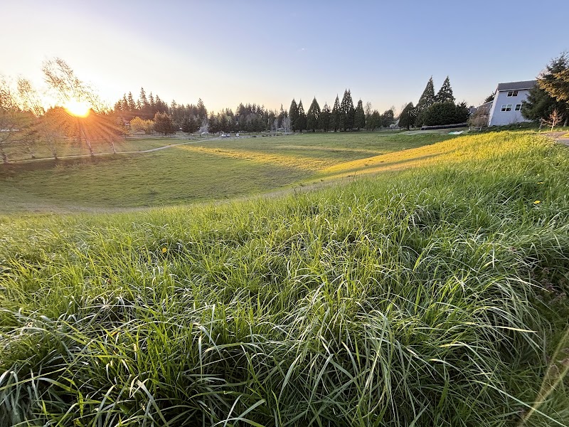 Woodland Avenue Regional Stormwater Detention Facility And Passive Recreation Area