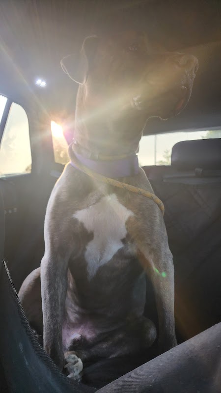 Maryland Scenic Byways: Tours, Events, & Info-tainment