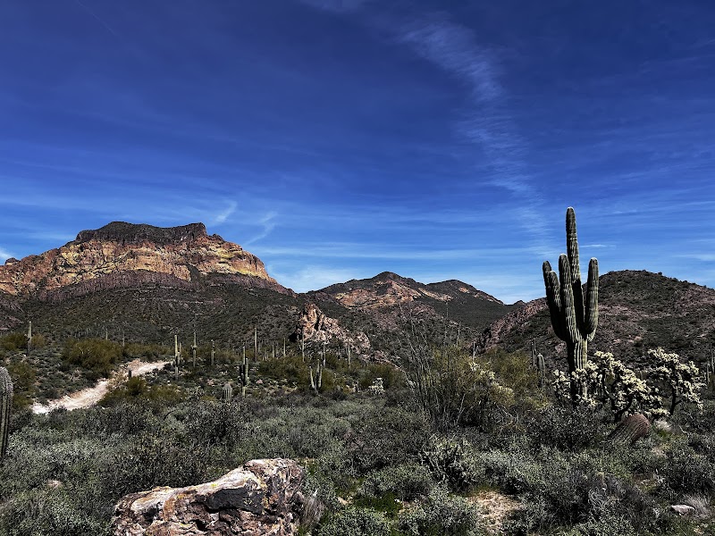 Bulldog Canyon OHV - Wolverine Gate