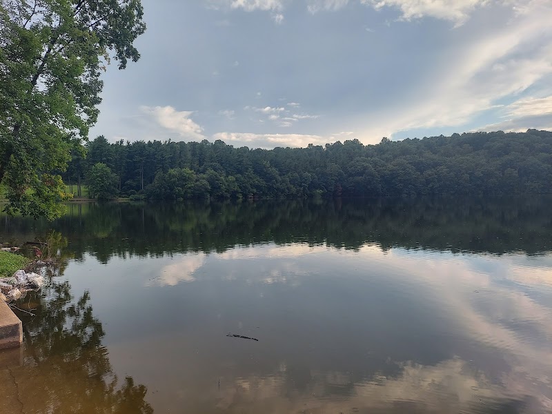 Lake Williams Hiking Loop