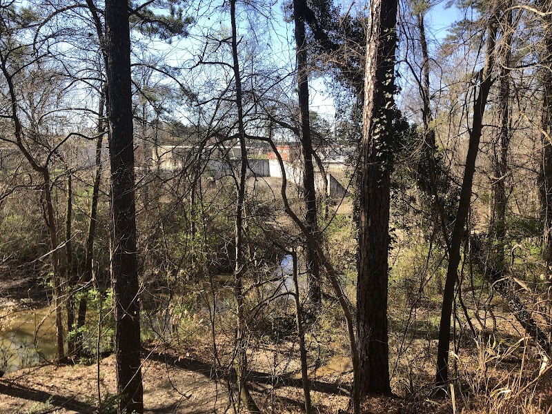 Standing Peachtree Park
