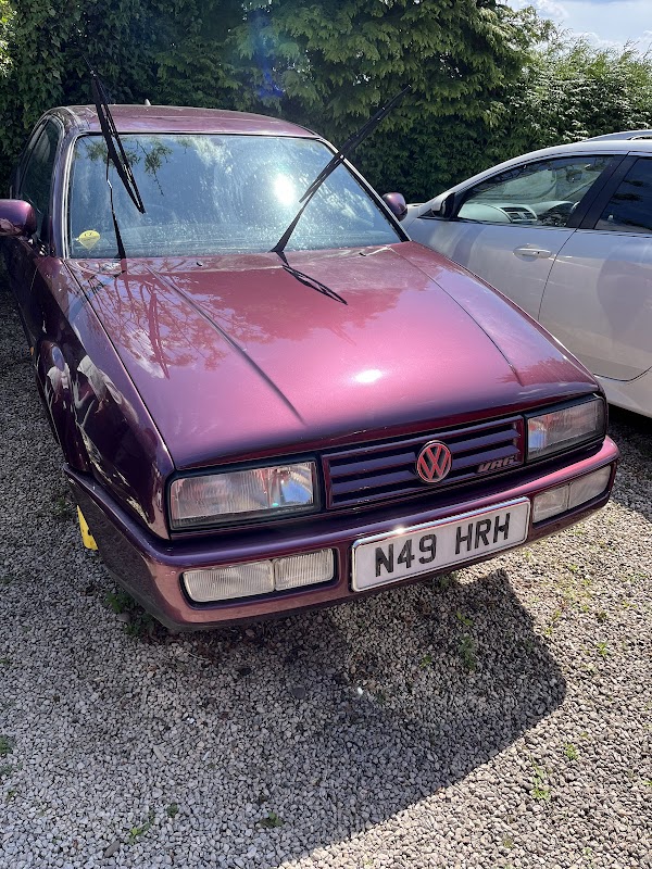 Seale Wood- Forestry England