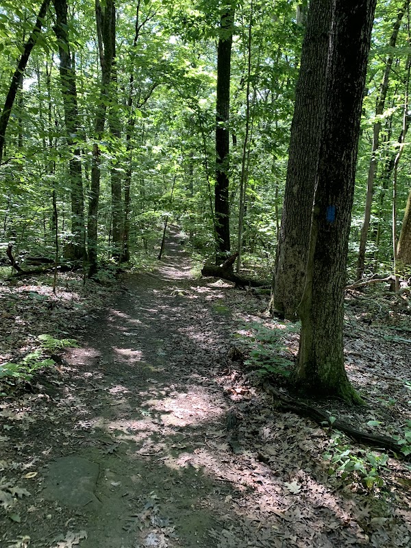 Carlstrom Memorial Forest