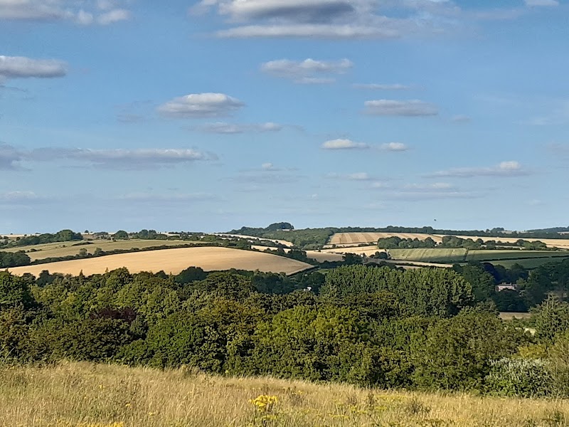 Shawford Down