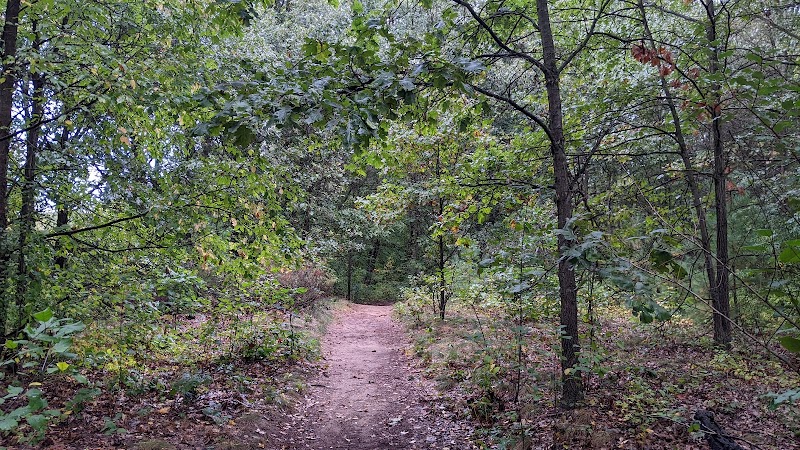 Wise Woods trailhead