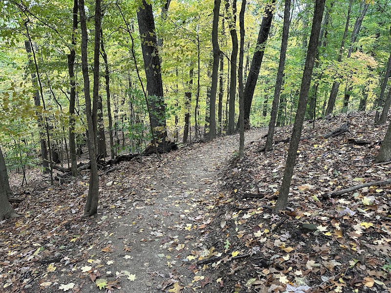 Deer Run Trailhead