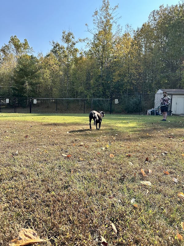 Long Valley Dog Park