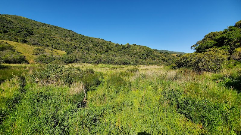 San Bruno Mountain Ecological Reserve - Owl Canyon Trailhead