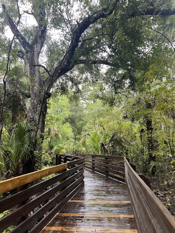 Hillsborough River Rapids