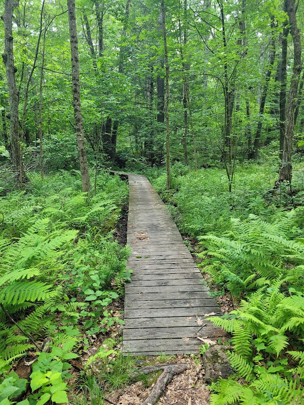 Musquash Conservation Area