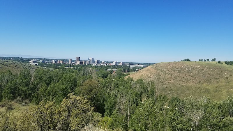 The Military Reserve