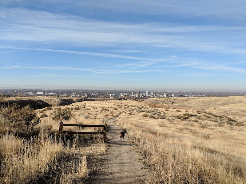 The Military Reserve