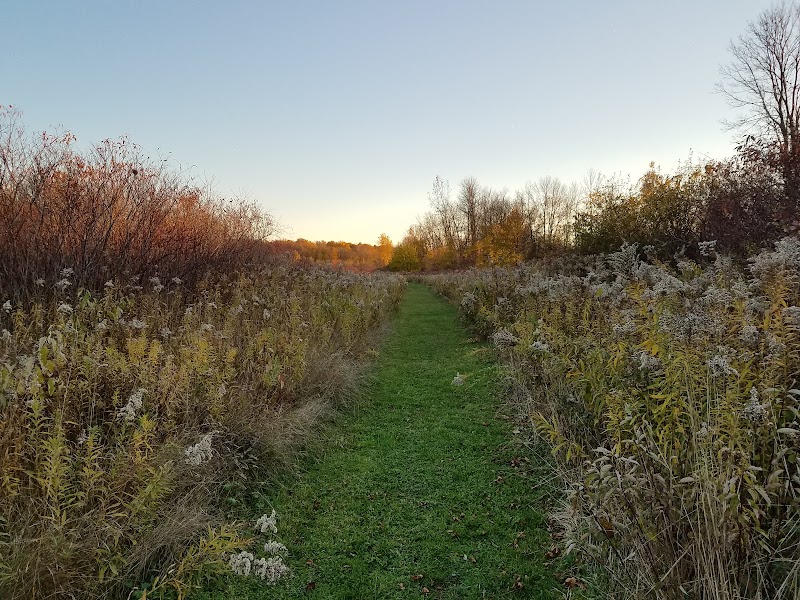Eva & Harlan Braman Preserve