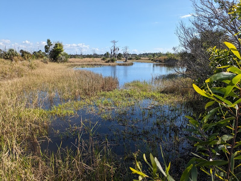 Flint Pen Strand Crew Wildlife And Envionmental Area