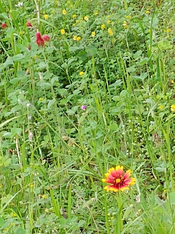 Mayde Creek South Hike & Bike Trail