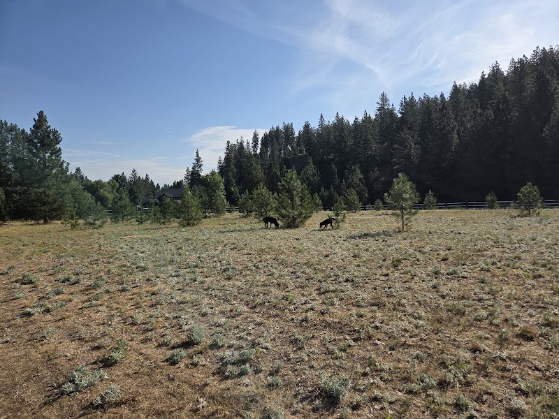 *PRIVATE* Sniff Spot Dog Park