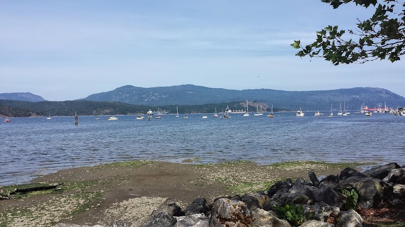 Cowichan Estuary