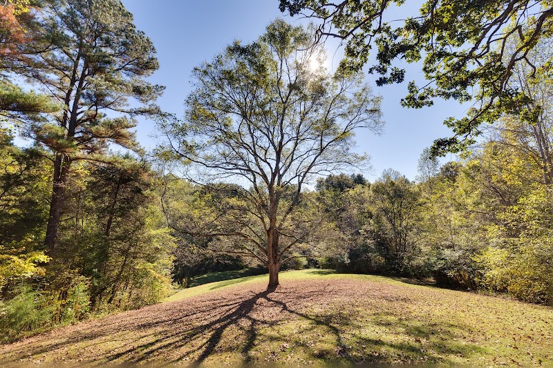 Alamance Parks
