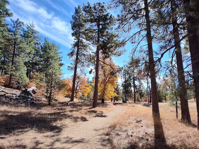 Laguna Mountain Recreation Area